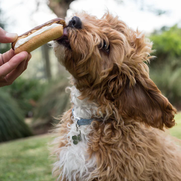 Kazoo Barney's Barkery Eclair - Image 4
