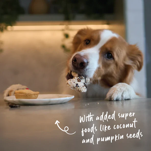 Kazoo Barney's Barkery Meaty Marvel - Liver Nutri-Bone - Image 3