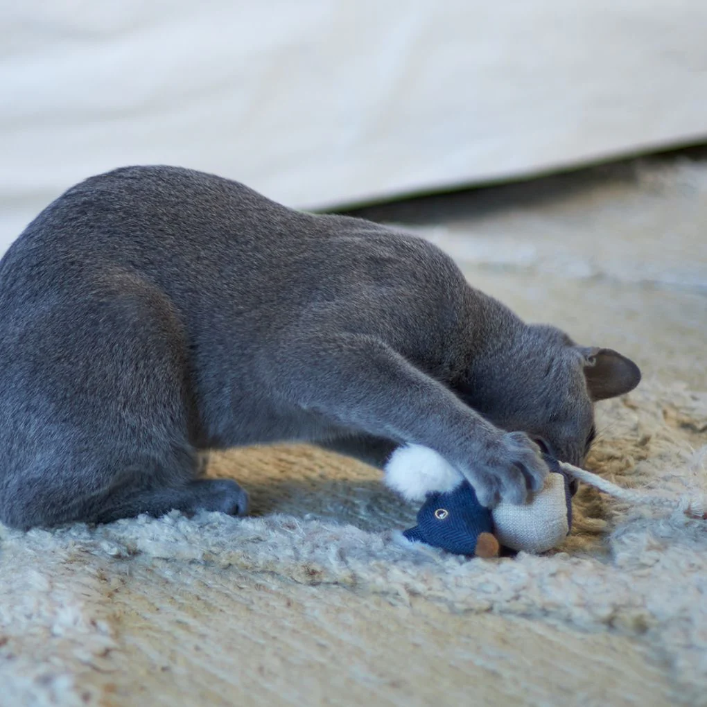 Kazoo Big Ears Mouse Cat Toy - Image 2