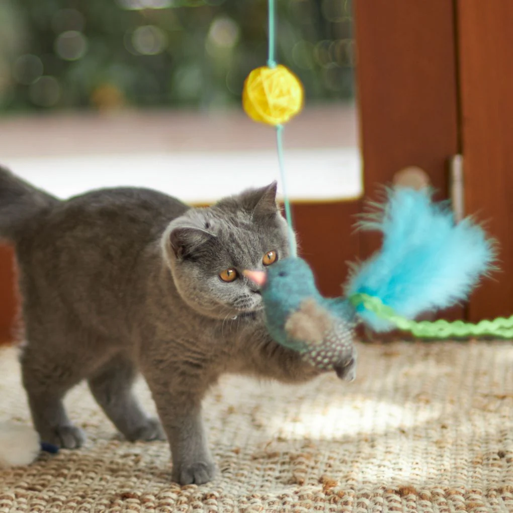Kazoo Bluebird Wand Cat Toy - Image 3