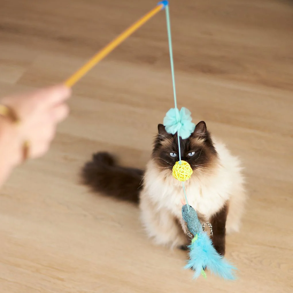 Kazoo Bluebird Wand Cat Toy - Image 4