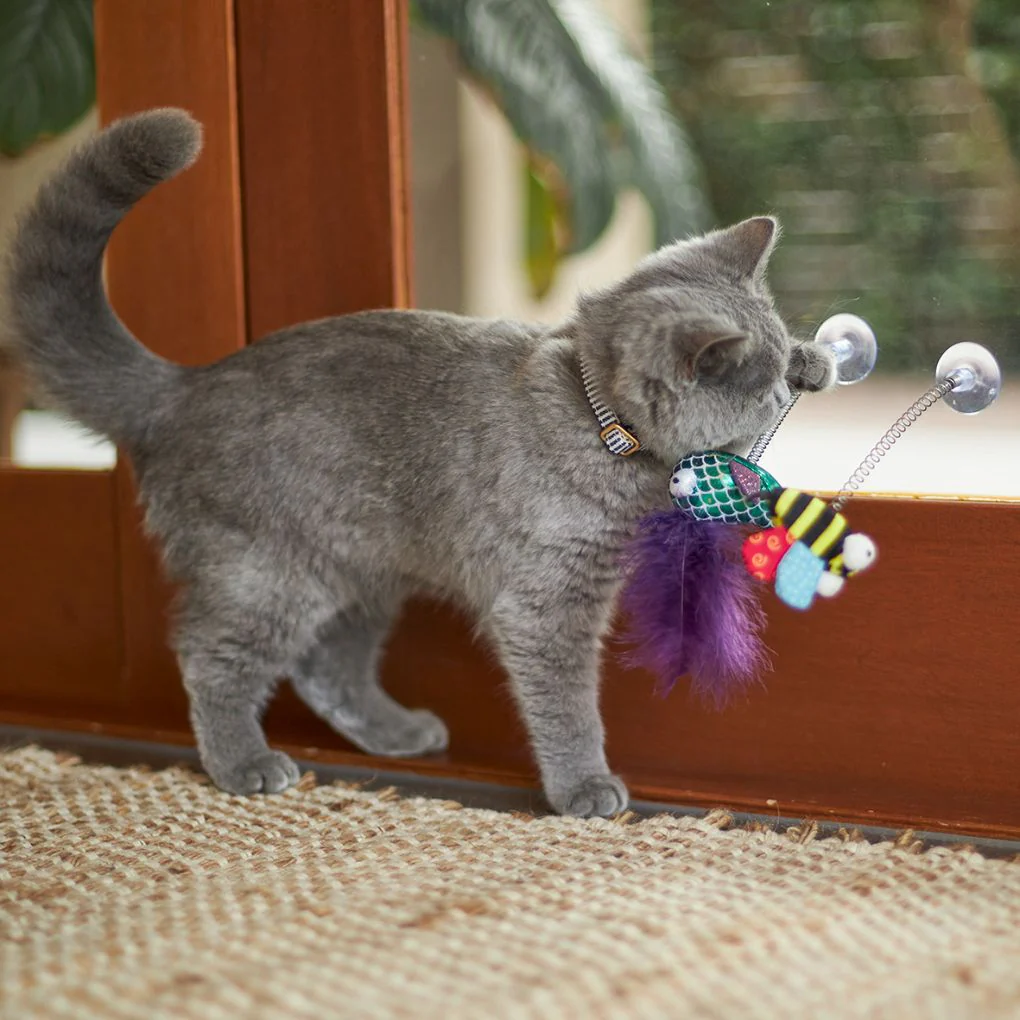Kazoo Bouncy Bee Cat Toy - Image 2