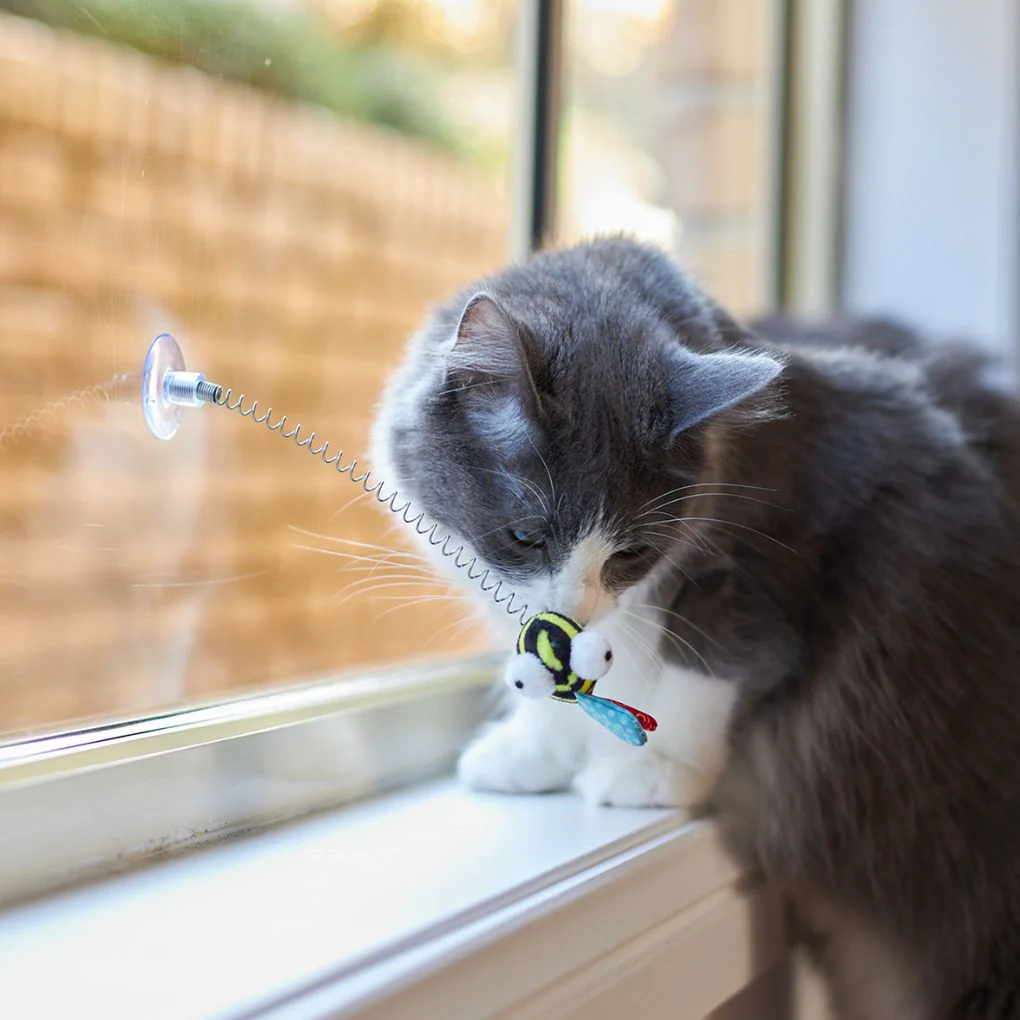 Kazoo Bouncy Bee Cat Toy - Image 3