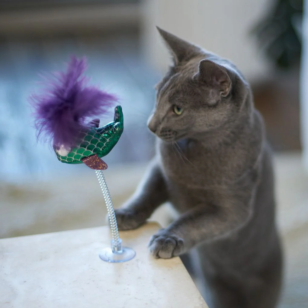 Kazoo Bouncy Fish Cat Toy - Image 3