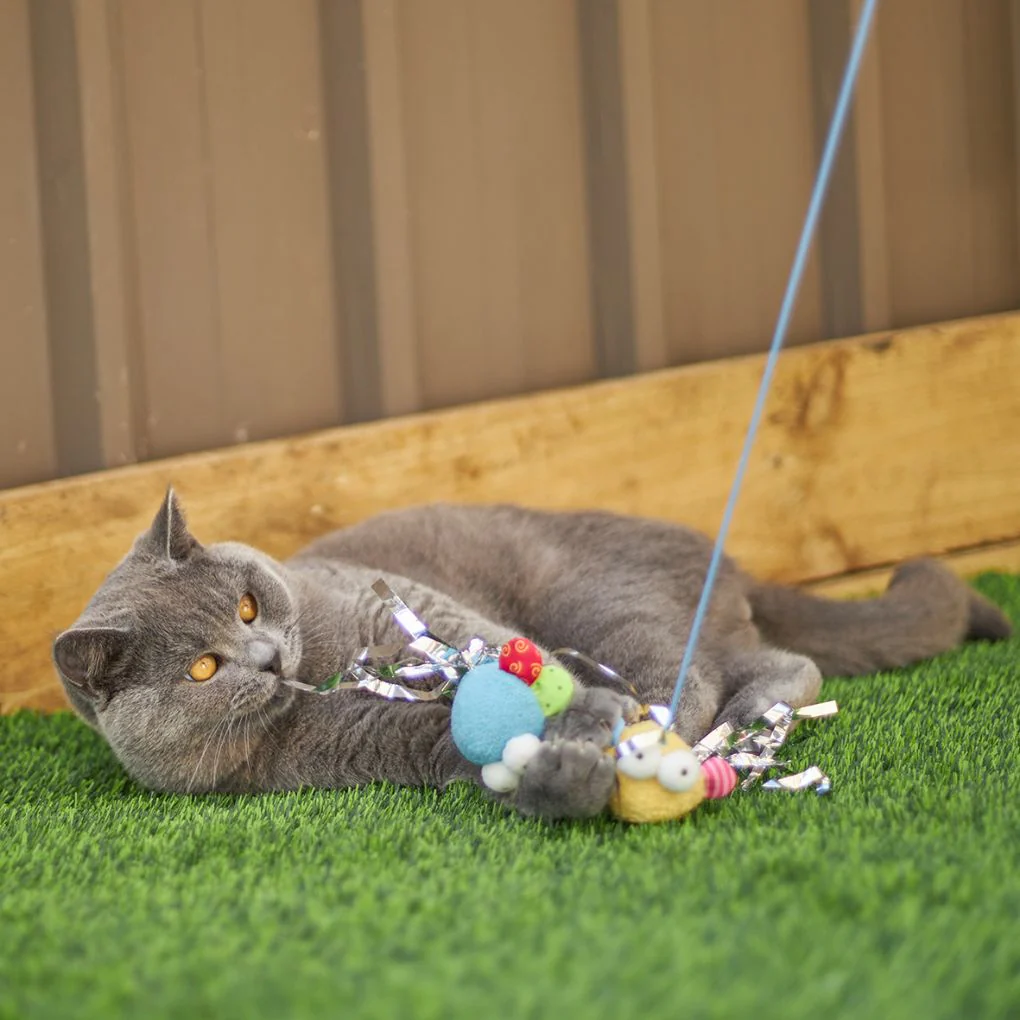 Kazoo Butterfly High Wand Cat Toy - Image 3