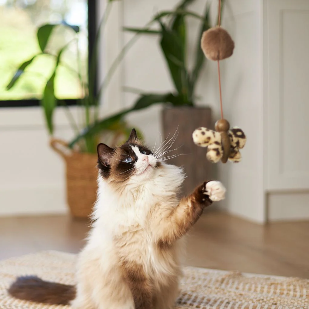 Kazoo Catnip Butterfly Wand Cat Toy - Image 2