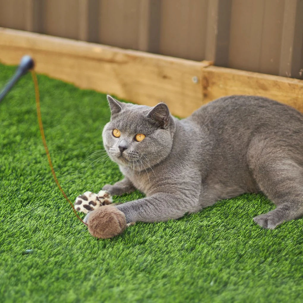 Kazoo Catnip Butterfly Wand Cat Toy - Image 3