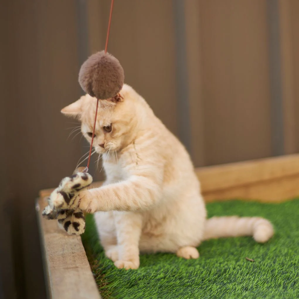 Kazoo Catnip Butterfly Wand Cat Toy - Image 4