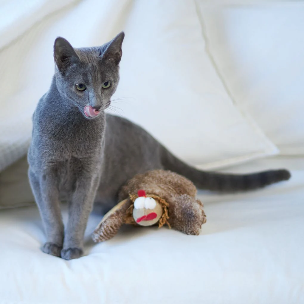 Kazoo Cheeky Chicken Cat Toy - Image 3