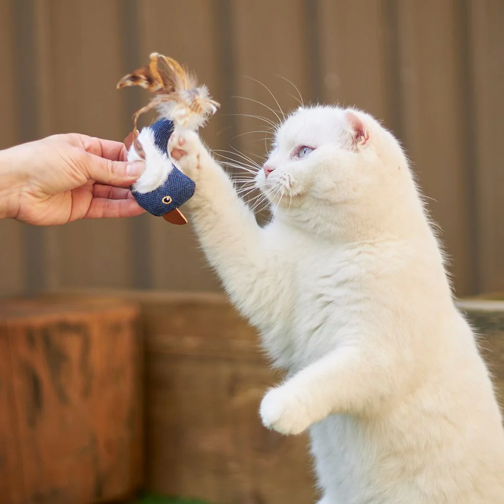 Kazoo Chirpy Bird Cat Toy - Image 3
