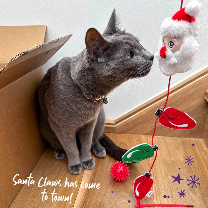 Kazoo Christmas Cat Toy - Santa Wand Teaser - Image 2