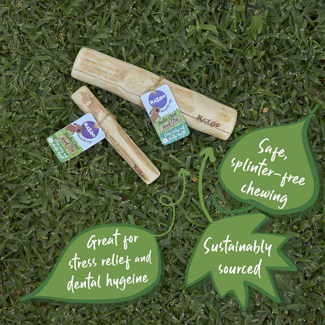 Kazoo Dental Chew-Coffee Wood Stick - Image 4