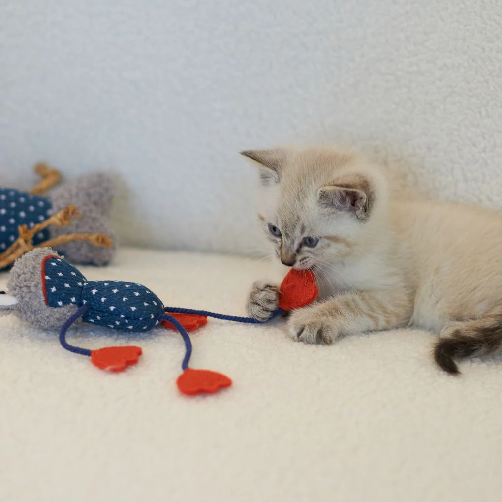 Kazoo Floppy Frog Cat Toy - Image 2