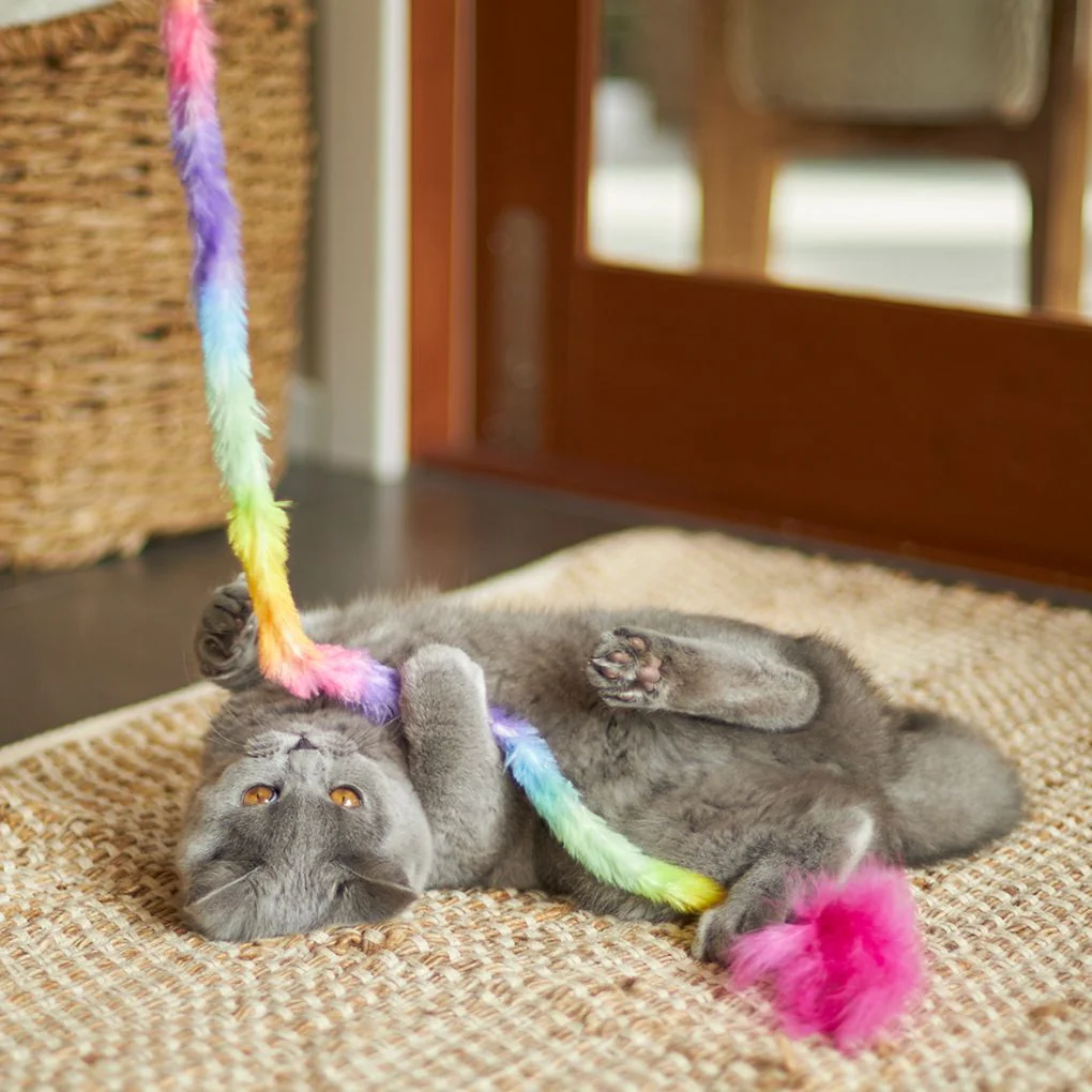 Kazoo Fluffy Rainbow Tail Cat Toy - Image 2