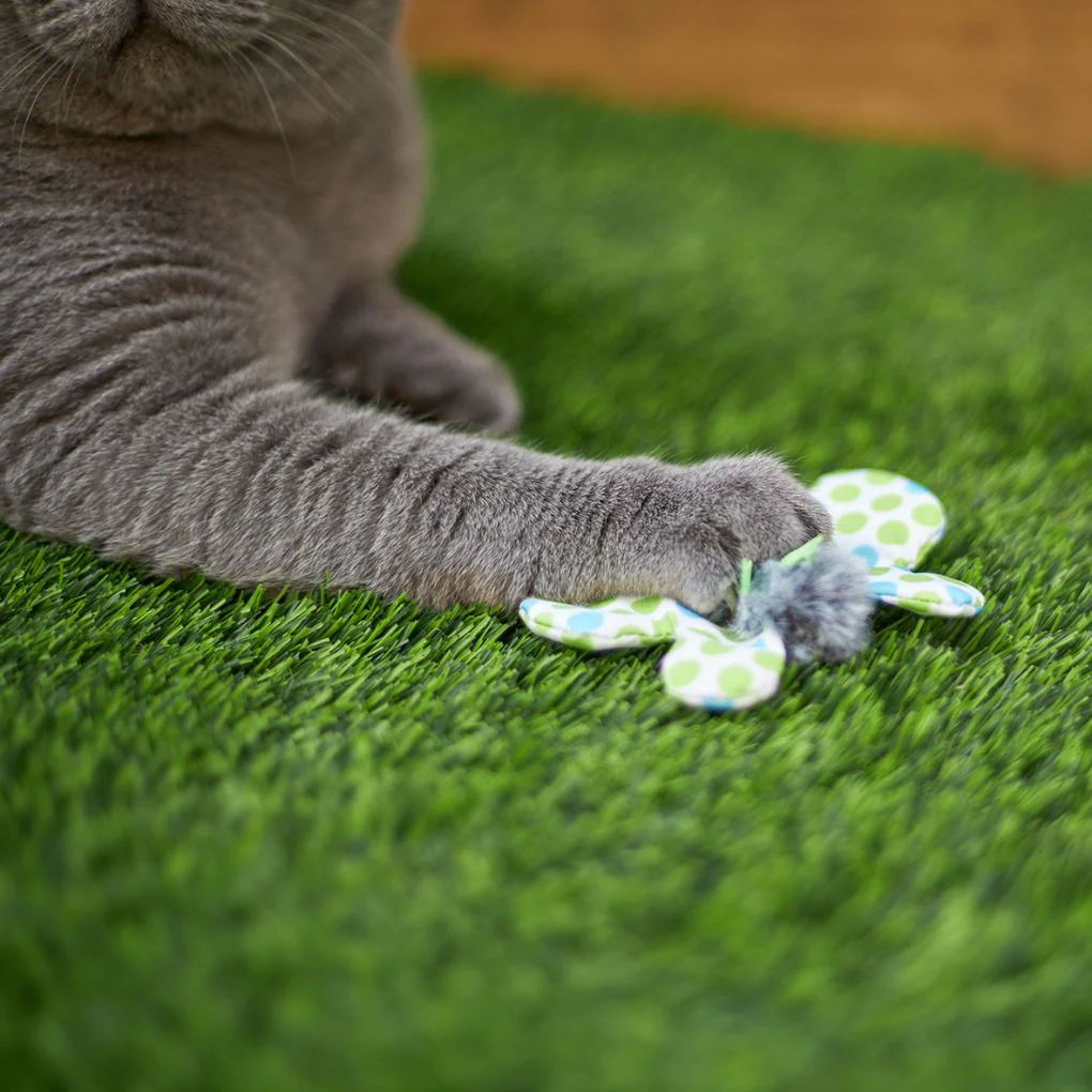 Kazoo Flutterby Cat Toy - Image 2