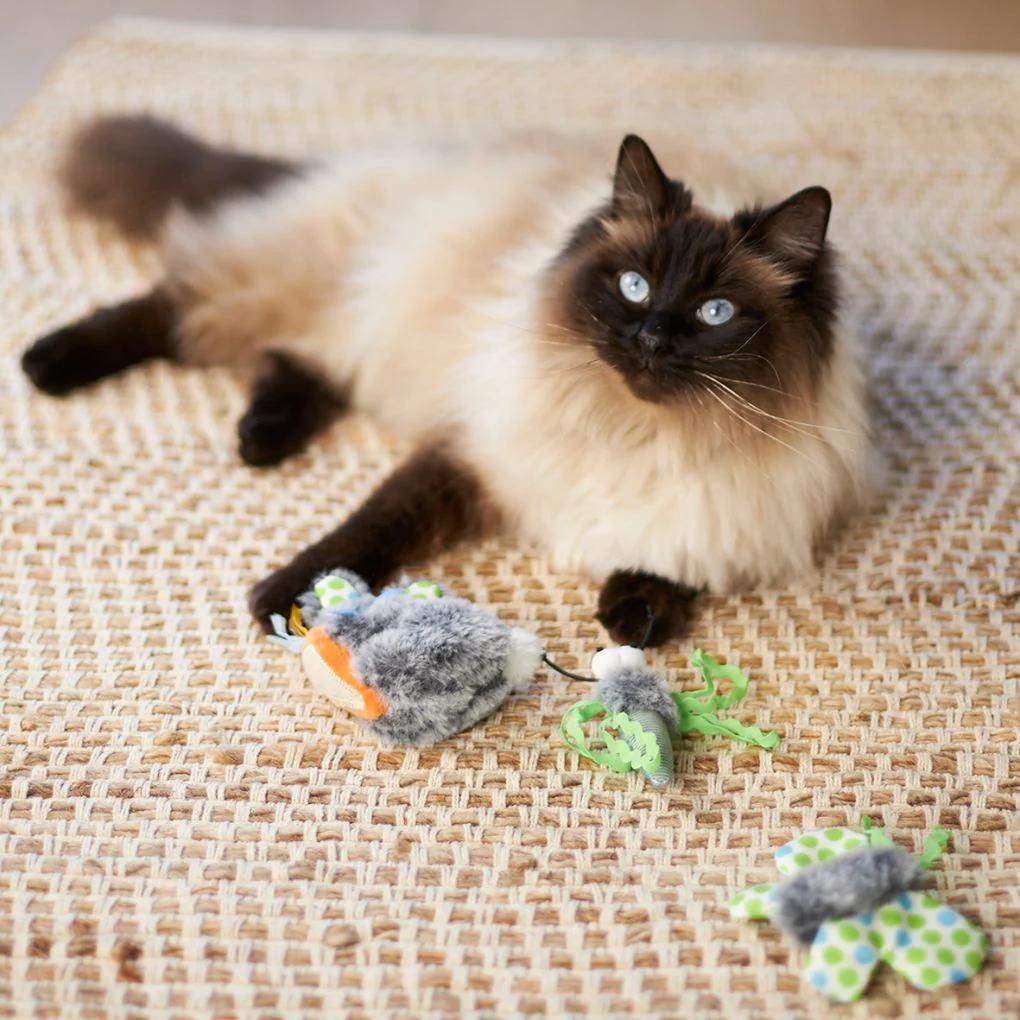 Kazoo Flutterby Cat Toy - Image 3