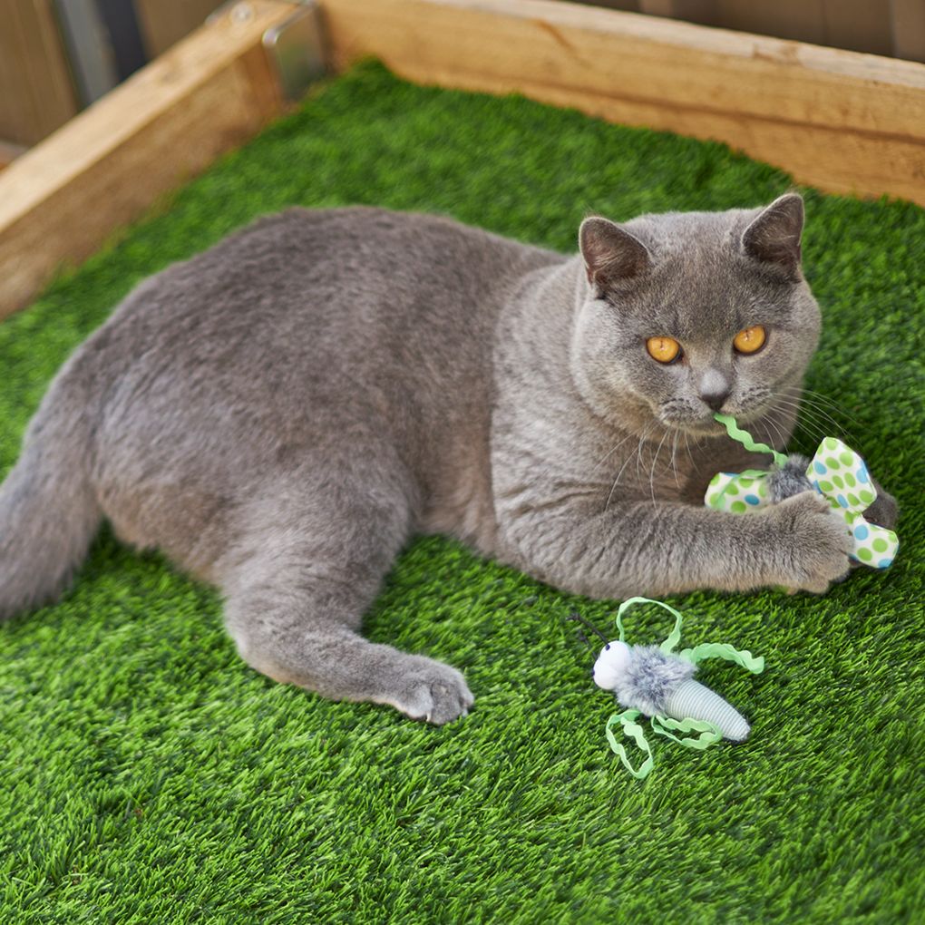Kazoo Flutterby Cat Toy - Image 4