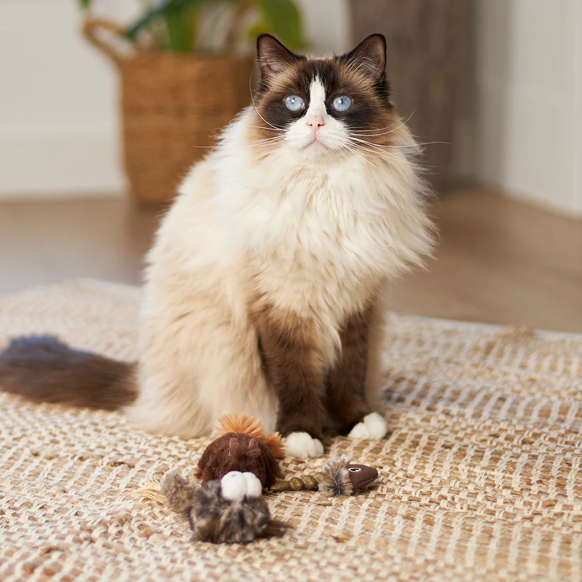 Kazoo Gone Fishing Cat Toy - Image 2