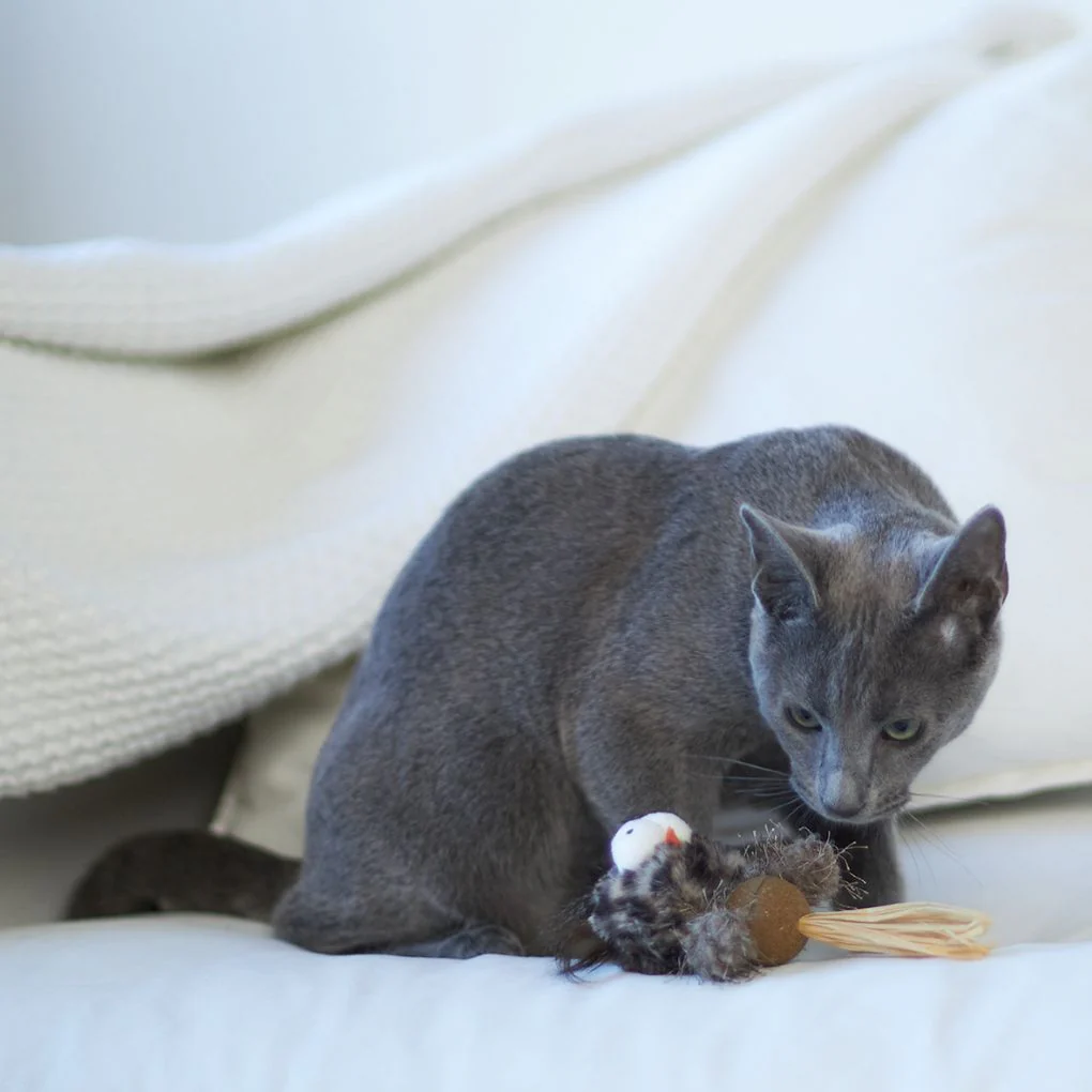 Kazoo Hooty Owl Cat Toy - Image 2