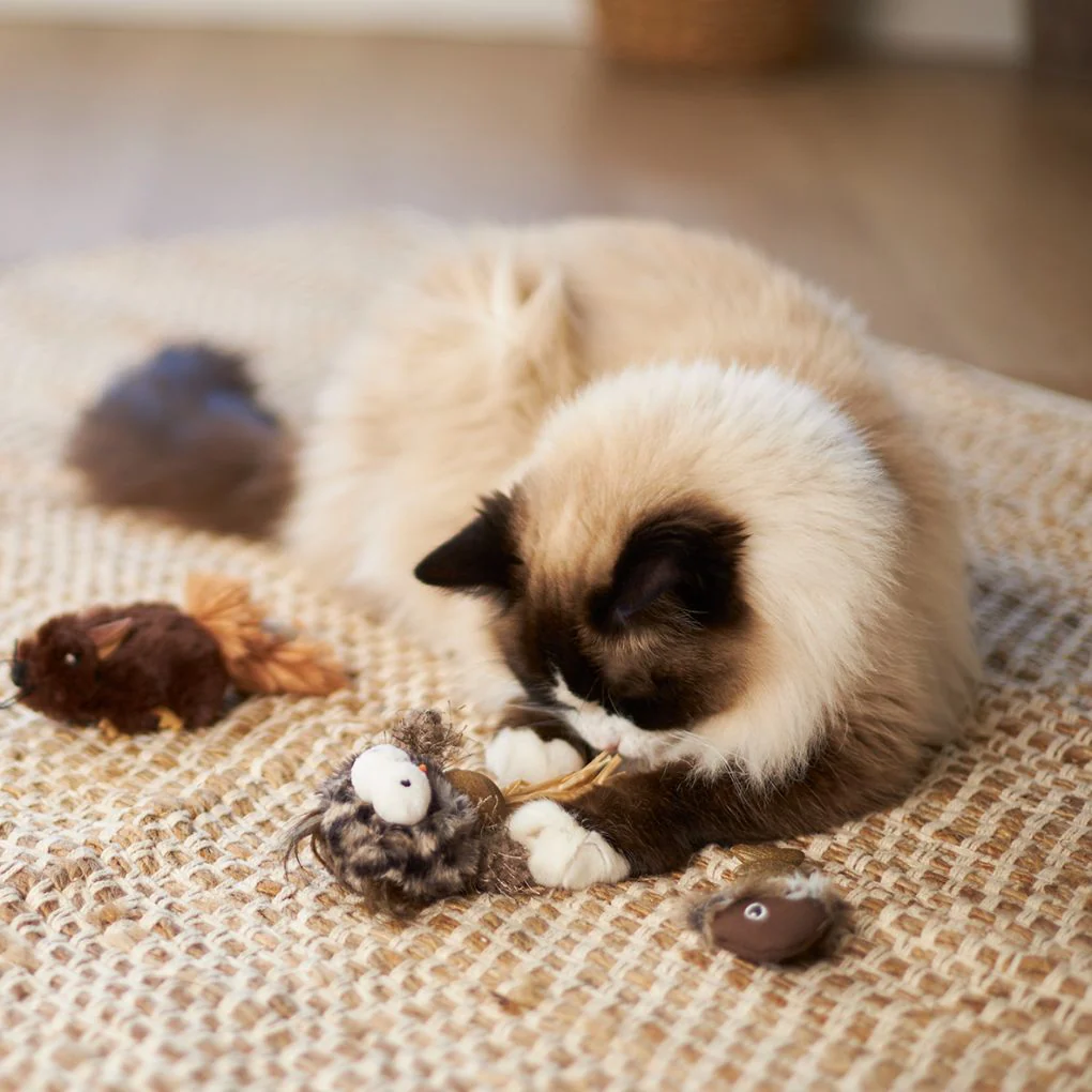 Kazoo Hooty Owl Cat Toy - Image 3