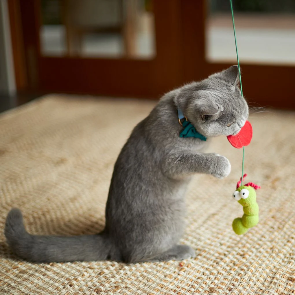 Kazoo Hungry Caterpillar Cat Toy - Image 3