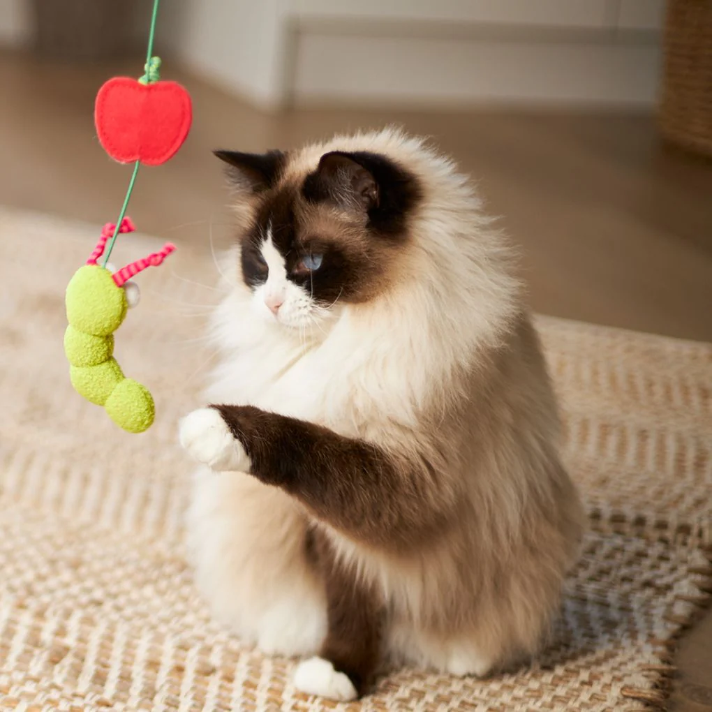 Kazoo Hungry Caterpillar Cat Toy - Image 4