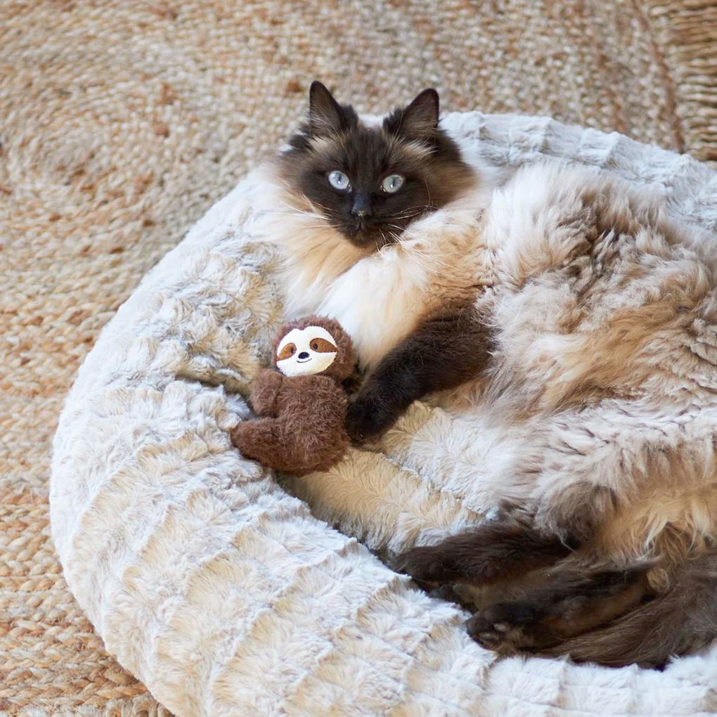 Kazoo Jungle Sloth Cat Toy - Image 3