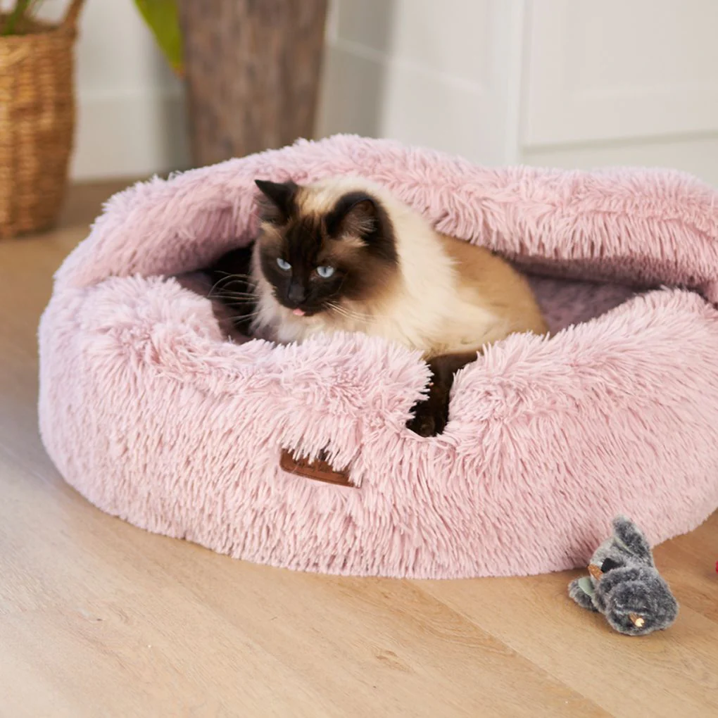 Kazoo Koala Cuddles Cat Toy - Image 3