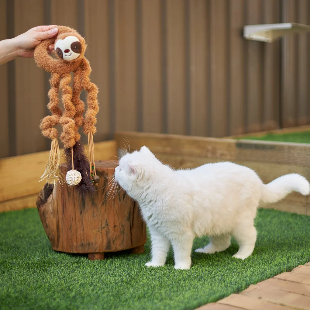 Kazoo Long Legged Sloth Cat Toy - Image 2