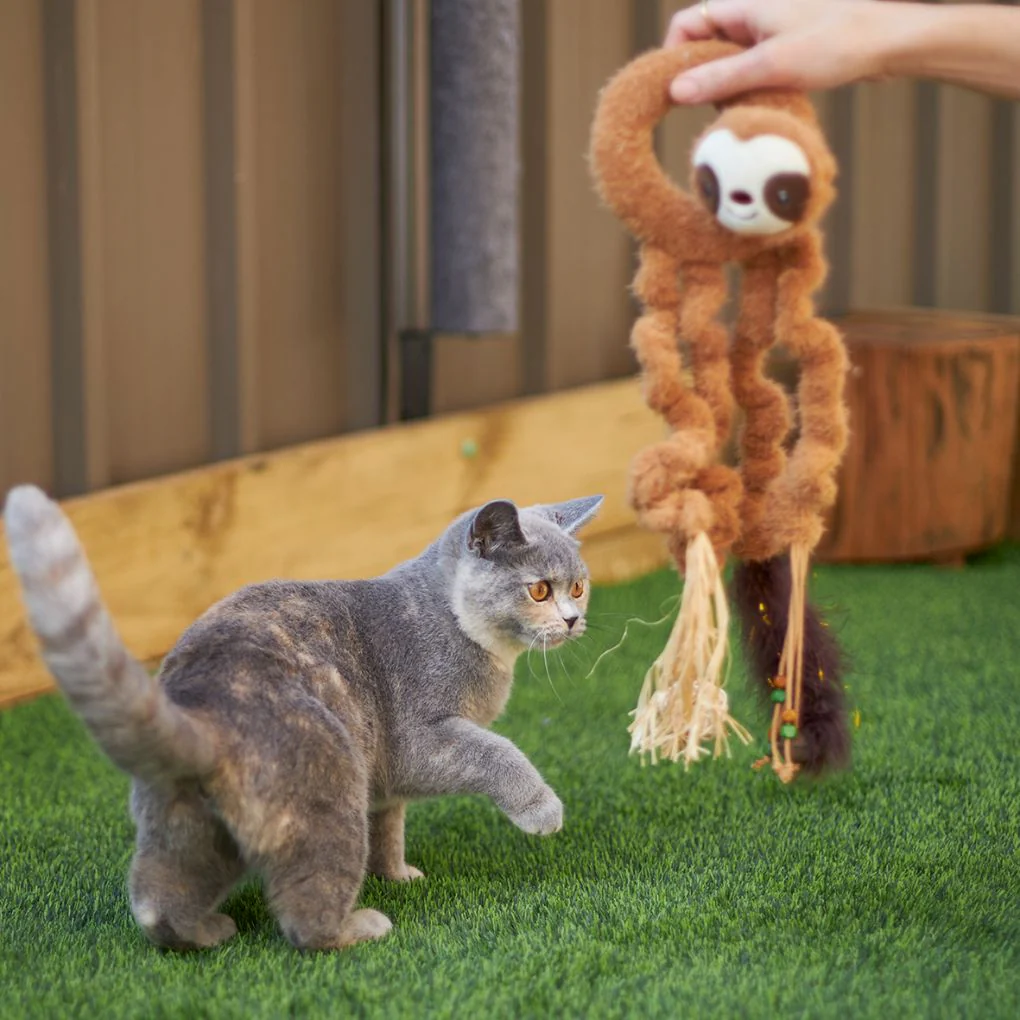 Kazoo Long Legged Sloth Cat Toy - Image 3
