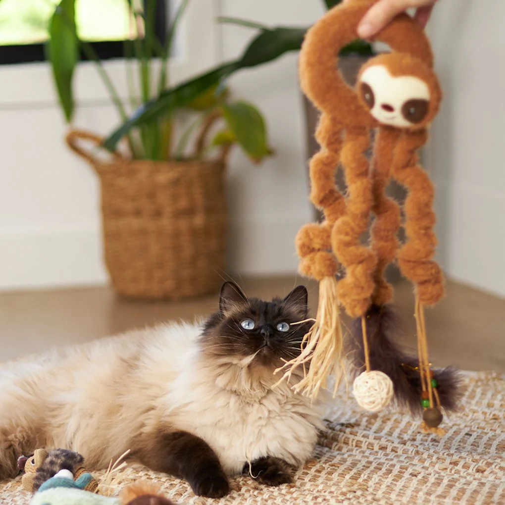 Kazoo Long Legged Sloth Cat Toy - Image 4