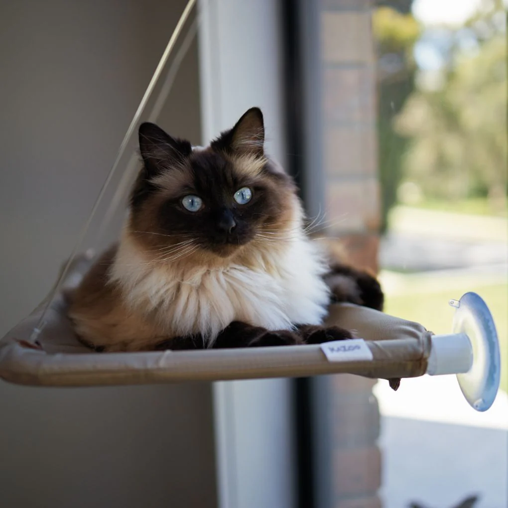 Kazoo Lookout Window Mounted Cat Bed - Image 2