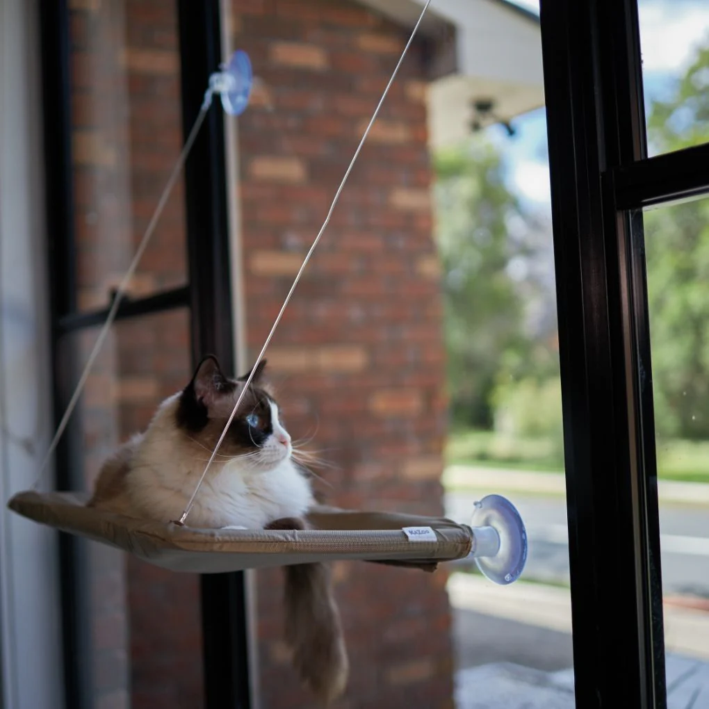 Kazoo Lookout Window Mounted Cat Bed - Image 4