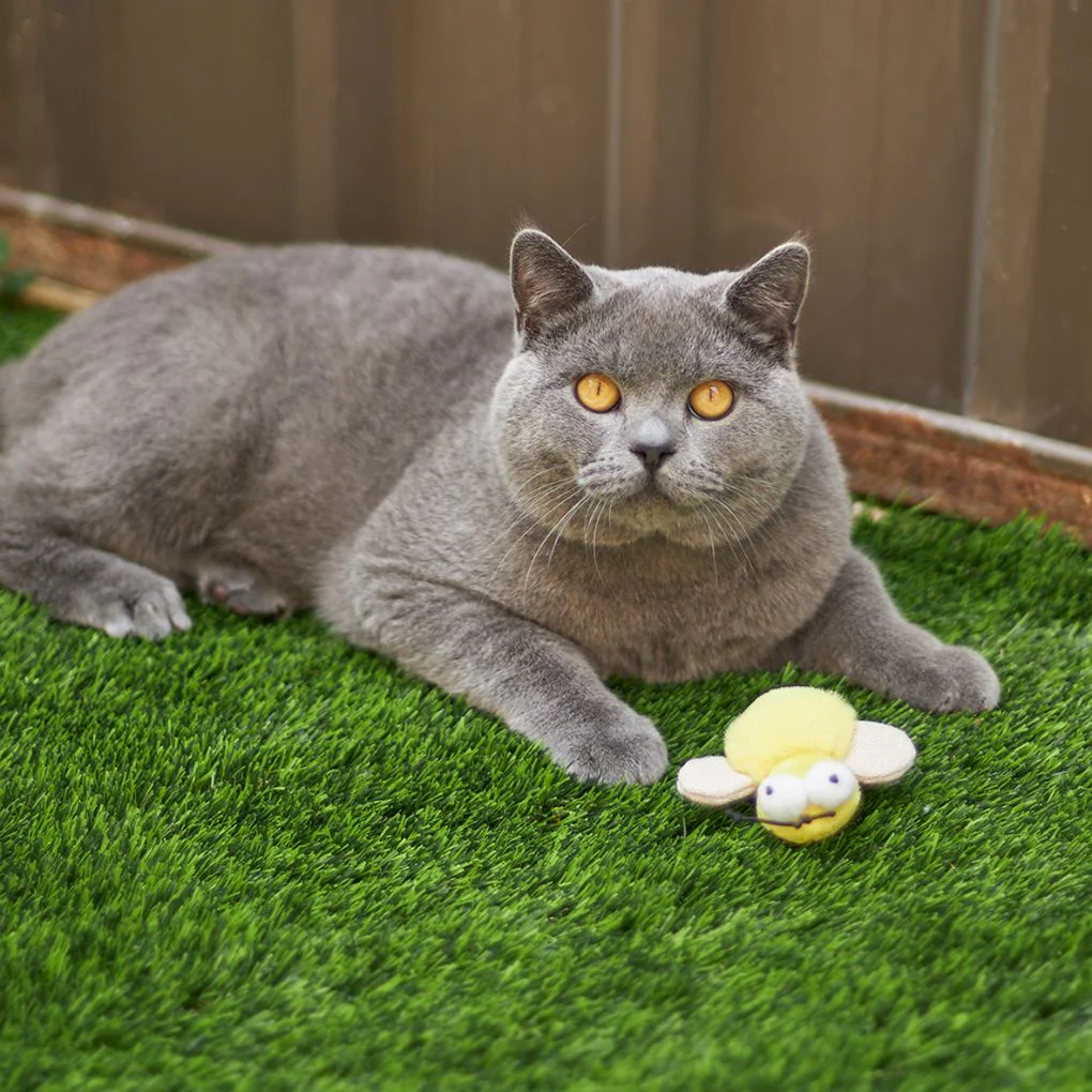 Kazoo Noisy Busy Bee Cat Toy - Image 2