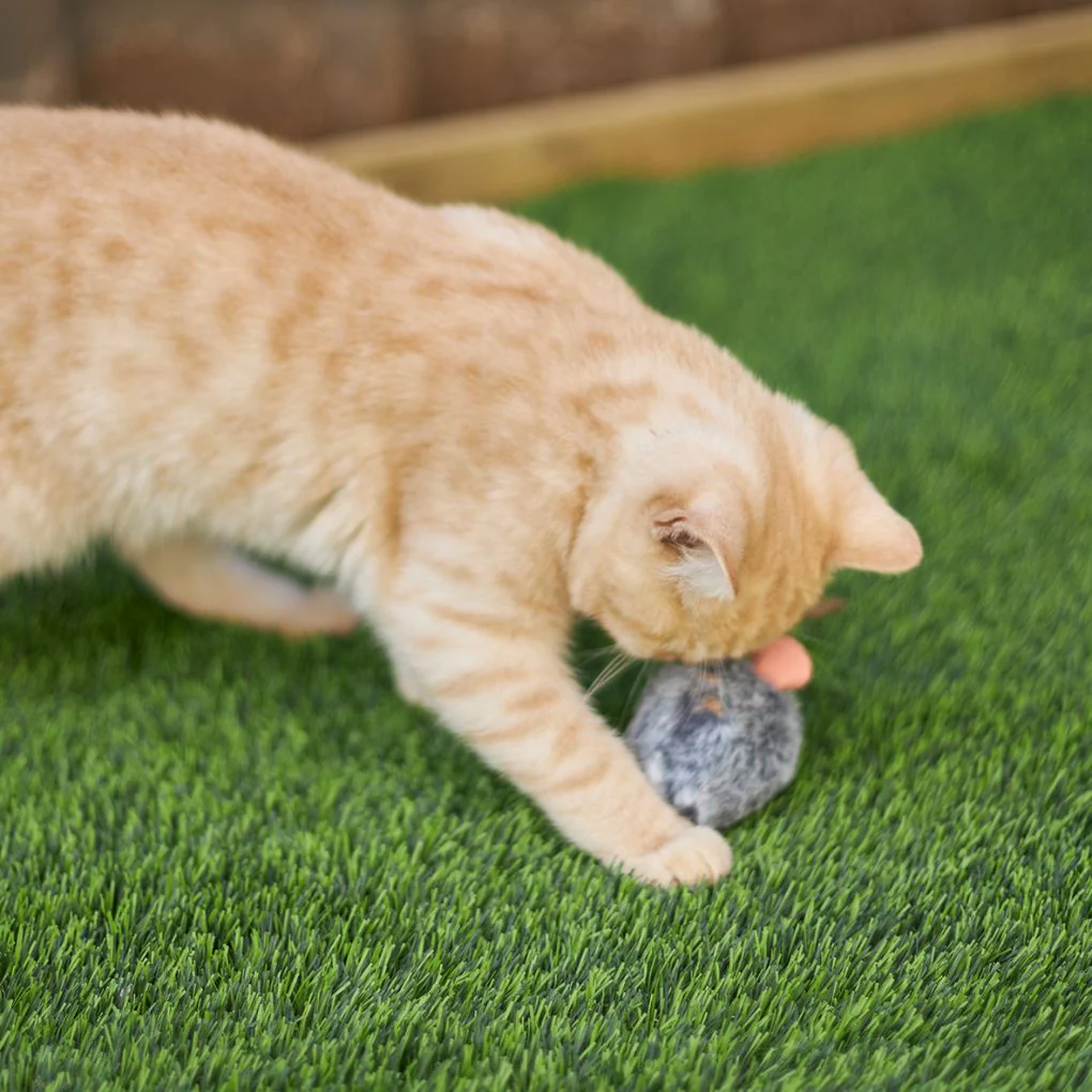 Kazoo Noisy Mouse Cat Toy - Image 2