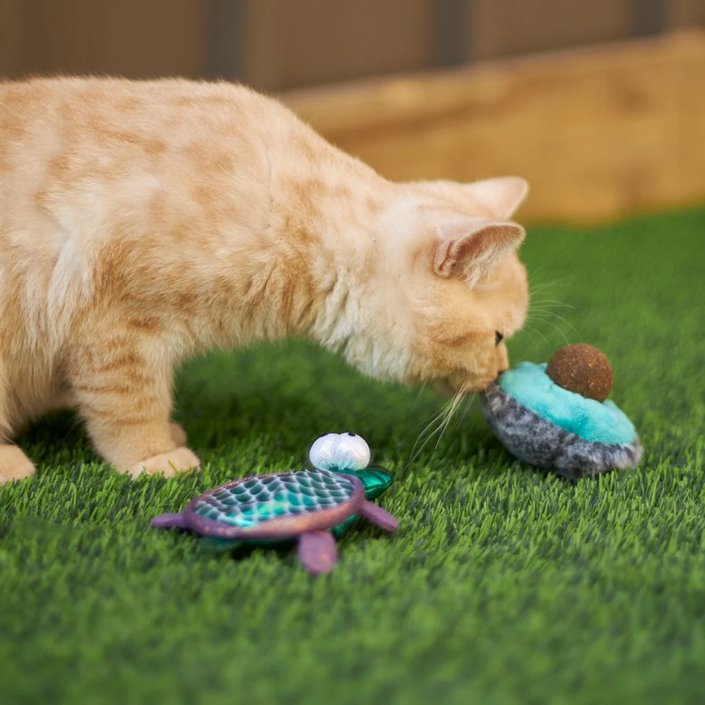 Kazoo Playful Avocado Cat Toy - Image 2