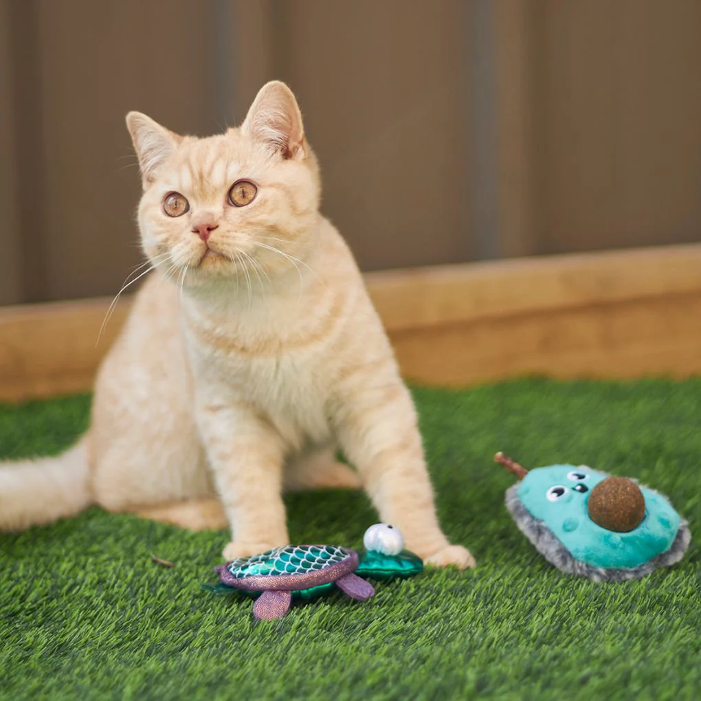 Kazoo Playful Avocado Cat Toy - Image 4
