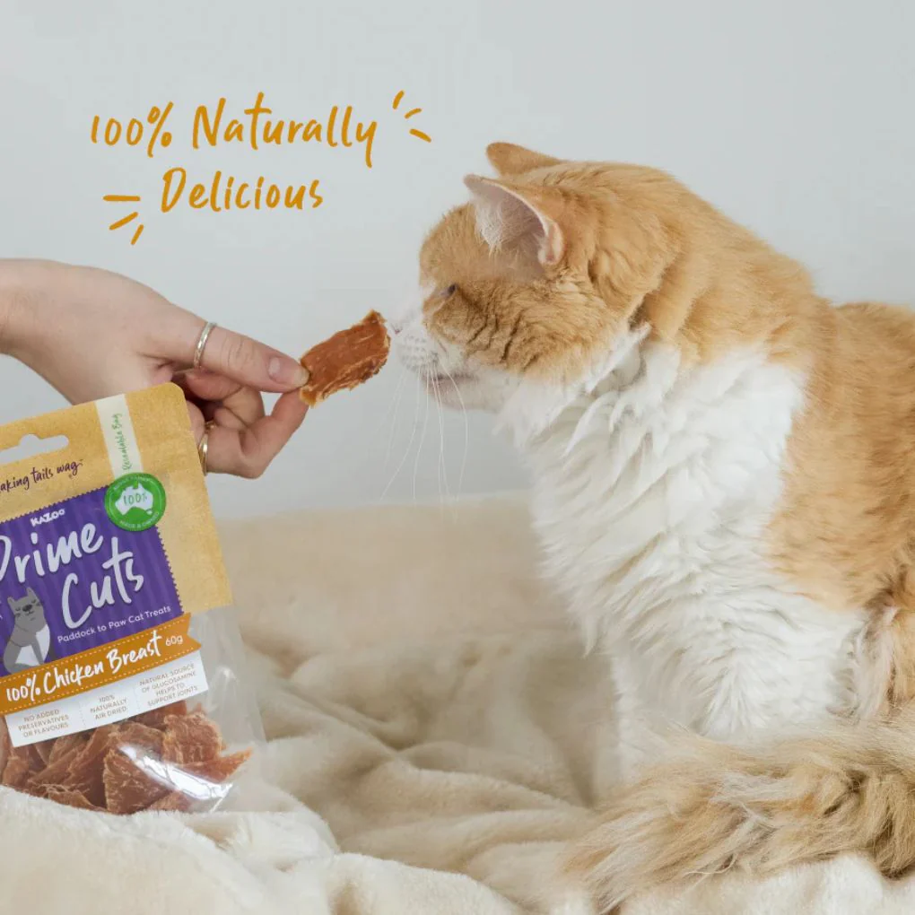 Kazoo Prime Cuts Cat Chicken Breast Treat 60g - Image 4