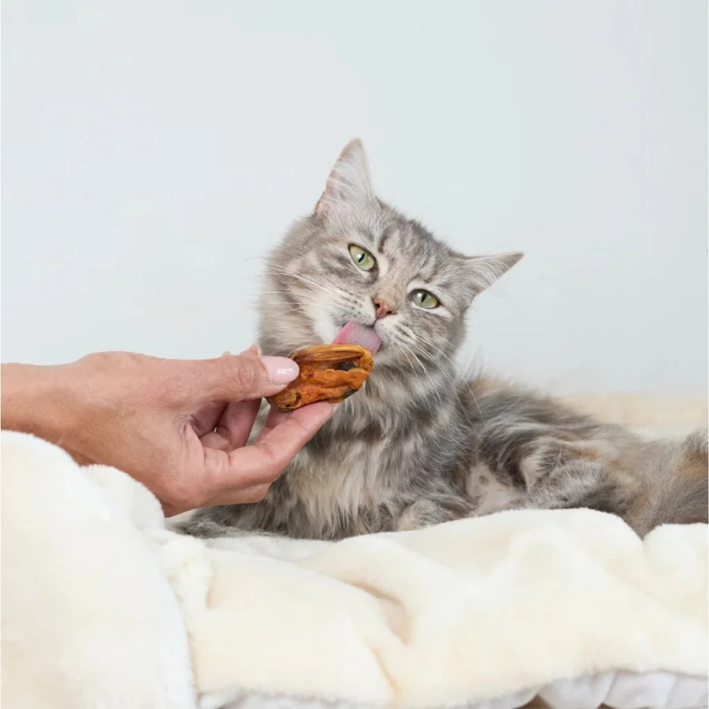 Kazoo Prime Cuts Cat Mussels Treat 60g - Image 4