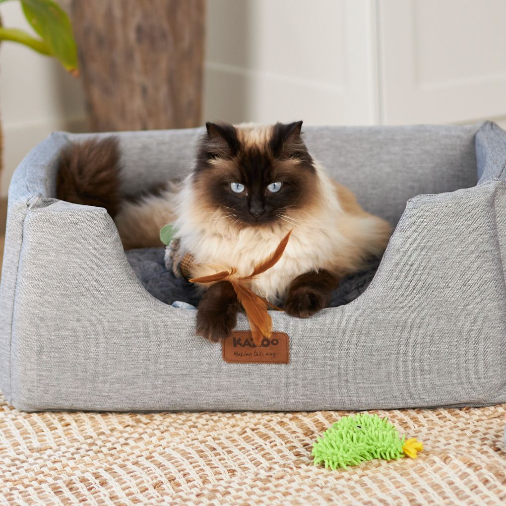 Kazoo Scruffy Cactus Cat Toy - Image 2