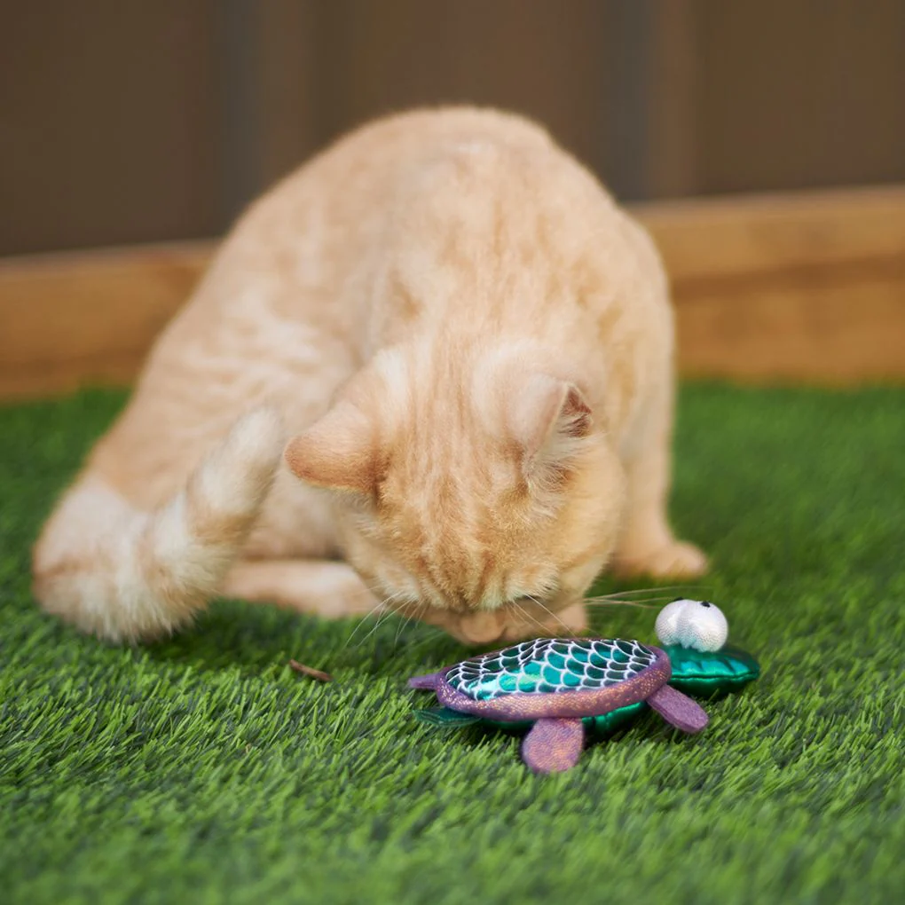 Kazoo Sea Turtle Cat Toy - Image 2
