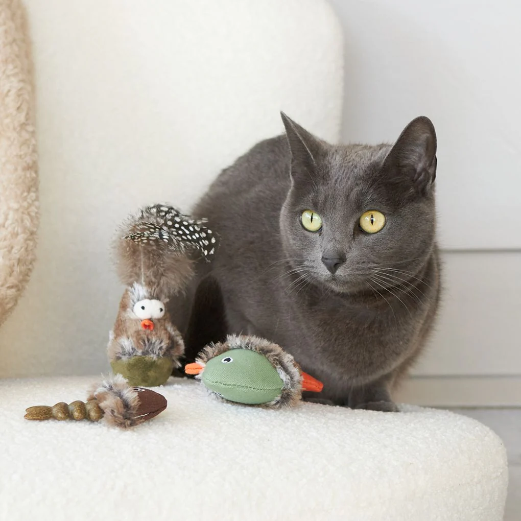 Kazoo Squishy Fish Cat Toy - Image 2