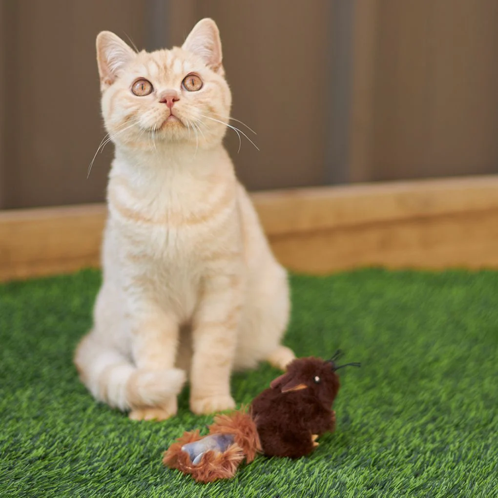 Kazoo Squishy Squirrel Cat Toy - Image 3
