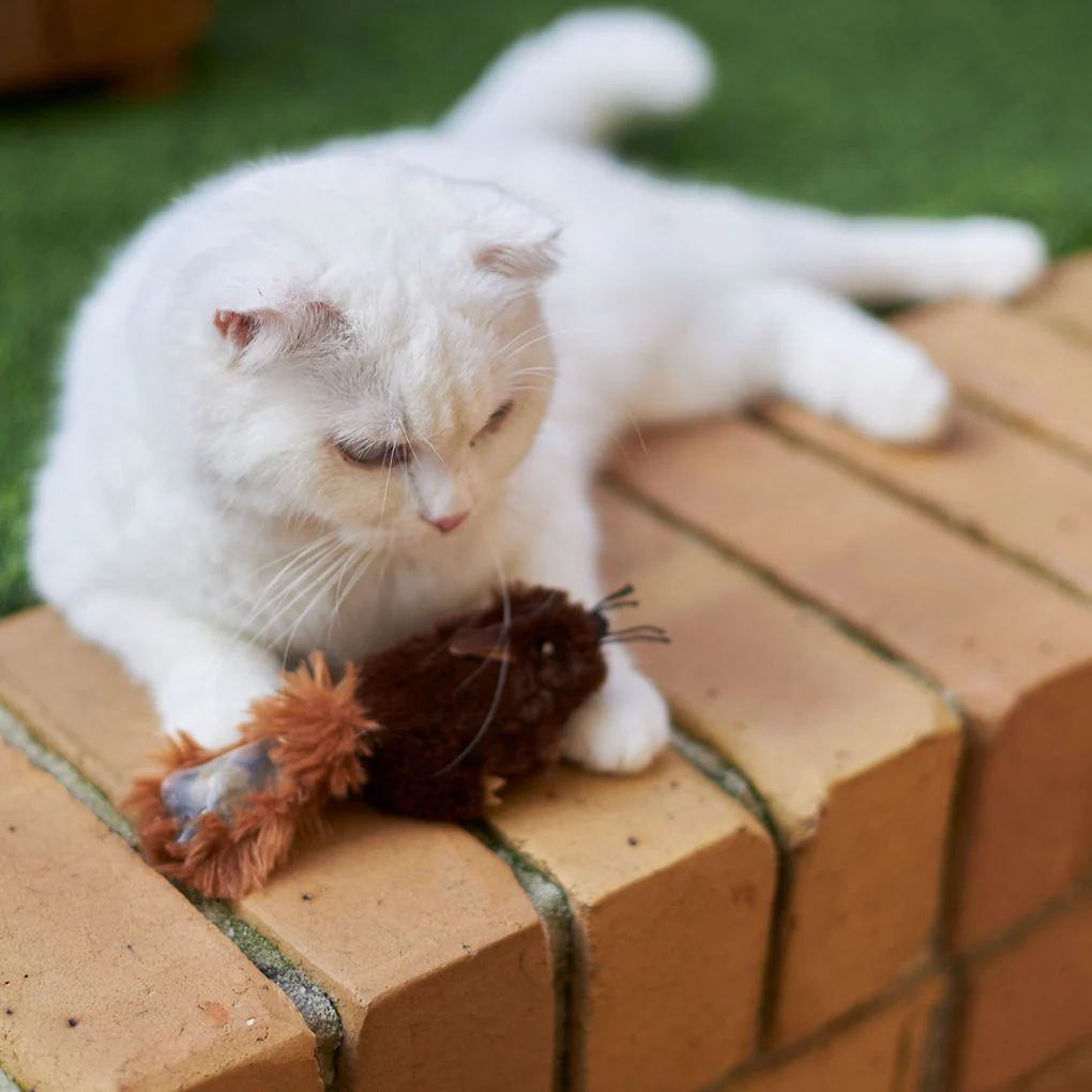 Kazoo Squishy Squirrel Cat Toy - Image 4
