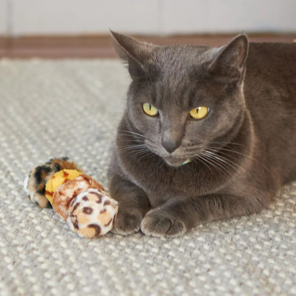 Kazoo Velcro Worm Cat Toy - Image 4