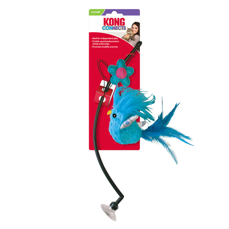 KONG Connects Cat Window Teaser