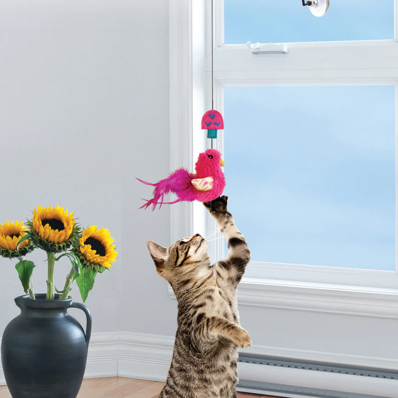 KONG Connects Cat Window Teaser - Image 2