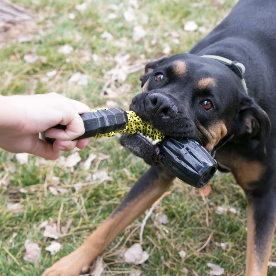 KONG Jaxx Braided Tug Tough Dog Toy - Image 4