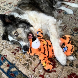 KONG Wild Knots Tiger - Image 2