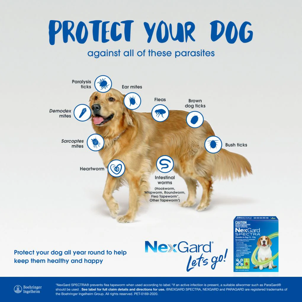Nexgard Spectra Chews for Dog 30.1-60kg Red - Image 3
